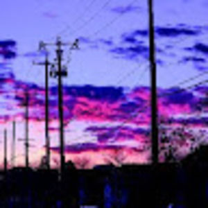 Meet your Posher, Cinnamon